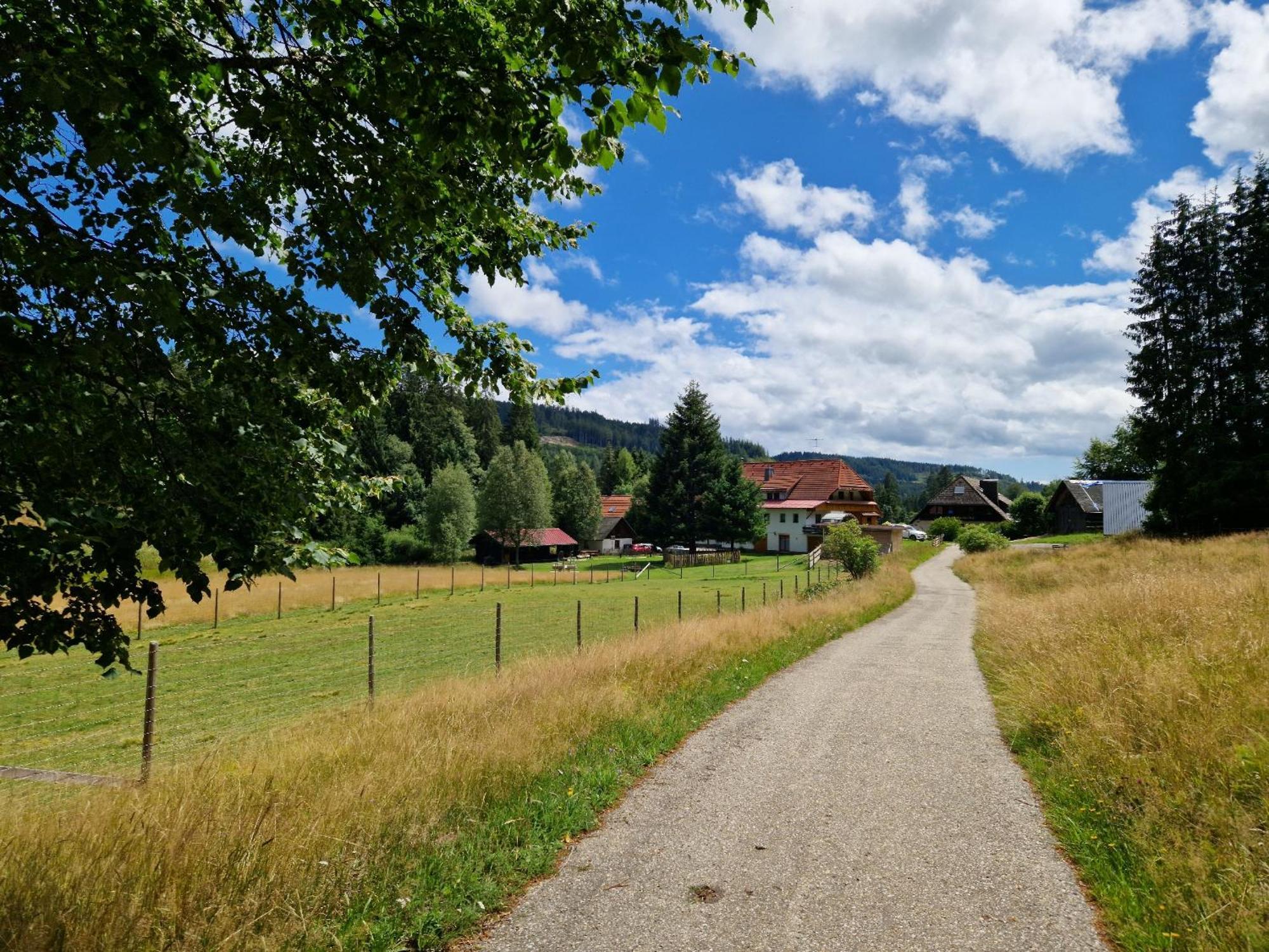 Altes Zollhuesli Villa Schluchsee Buitenkant foto