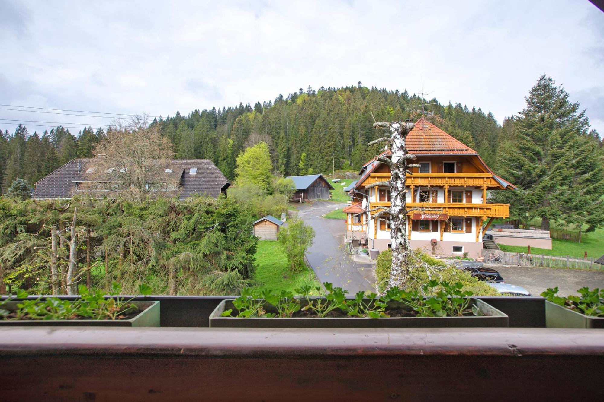 Altes Zollhuesli Villa Schluchsee Buitenkant foto