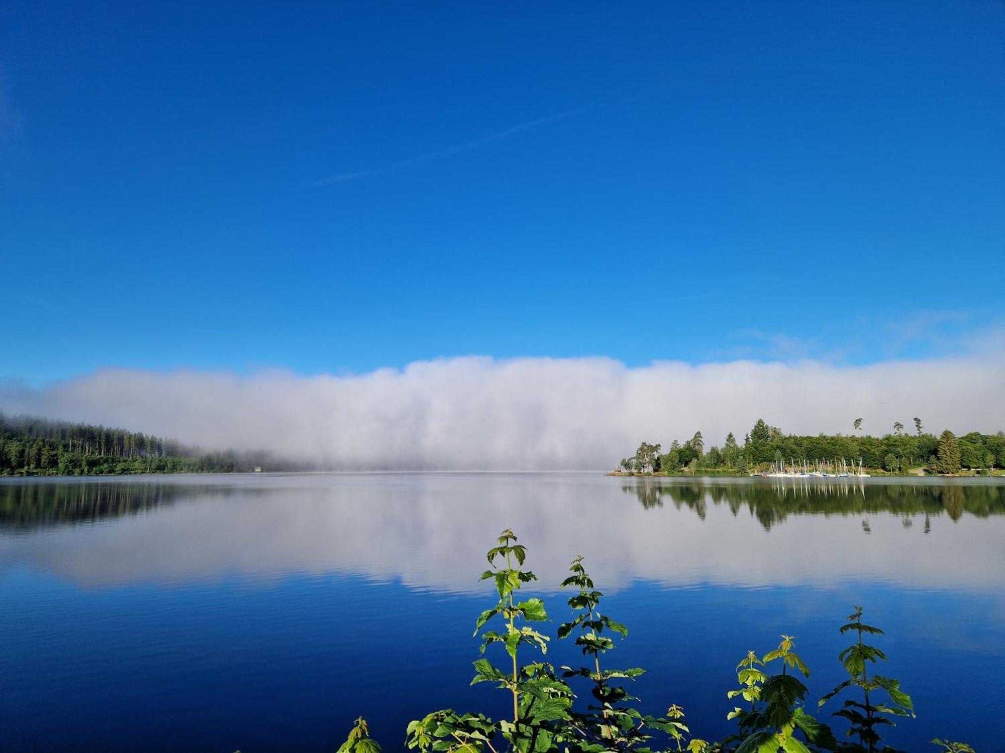 Altes Zollhuesli Villa Schluchsee Buitenkant foto